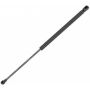 Autopart International Hatch Strut TFS611456