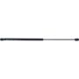 Autopart International Hood Strut TFS611548