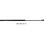 Autopart International Hatch Strut TFS611691
