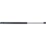 Autopart International Hatch Strut TFS611707
