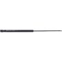 Autopart International Trunk Strut TFS611745