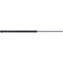 Autopart International Hatch Strut TFS611993