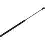 Autopart International Hatch Strut TFS612018