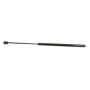 Autopart International Hood Strut TFS612034