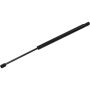 Autopart International Hatch Strut TFS612191