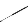 Autopart International Hatch Strut TFS612196
