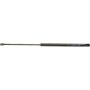 Autopart International Hatch Strut TFS612223