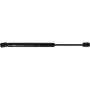 Autopart International Hatch Strut TFS612248