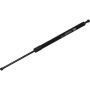Autopart International Hatch Strut TFS612260