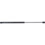 Autopart International Hood Strut TFS612263