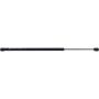 Autopart International Back Glass Lift Support TFS612343