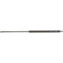 Autopart International Hood Strut TFS612561