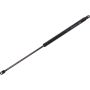Autopart International Trunk Strut TFS612585