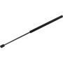 Autopart International Hood Strut TFS612659