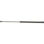 Autopart International Trunk Strut TFS612671