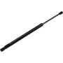 Autopart International Hatch Strut TFS612711