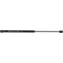 Autopart International Hood Strut TFS612820