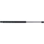 Autopart International Hatch Strut TFS612823