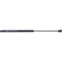 Autopart International Hood Strut TFS612849