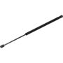 Autopart International Back Glass Lift Support TFS612872