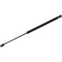 Autopart International Hatch Strut TFS612888