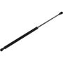 Autopart International Hatch Strut TFS612894