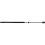 Autopart International Hood Strut TFS612915