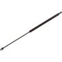 Autopart International Trunk Strut TFS612973
