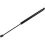 Autopart International Hood Strut TFS613017