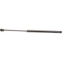 Autopart International Hood Strut TFS613020