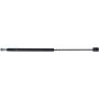 Autopart International Back Glass Lift Support TFS613093
