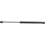 Autopart International Hatch Strut TFS613095