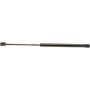 Autopart International Hatch Strut TFS613096