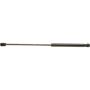 Autopart International Hood Strut TFS613098