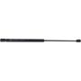 Autopart International Back Glass Lift Support TFS613148