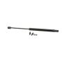 Autopart International Hatch Strut TFS613252
