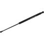 Autopart International Hatch Strut TFS613302