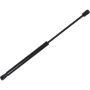 Autopart International Hood Strut TFS613354