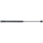 Autopart International Hood Strut TFS613389