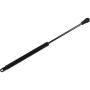 Autopart International Trunk Strut TFS613416