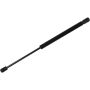 Autopart International Hatch Strut TFS613435