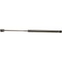 Autopart International Trunk Strut TFS613460