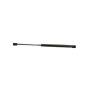 Autopart International Hood Strut TFS613462