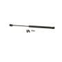 Autopart International Hood Strut TFS613463