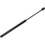 Autopart International Trunk Strut TFS613464