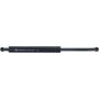Autopart International Hatch Strut TFS613495
