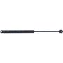 Autopart International Hood Strut TFS613501