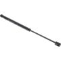 Autopart International Hood Strut TFS613506