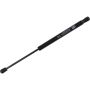 Autopart International Hatch Strut TFS613514
