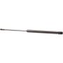 Autopart International Hood Strut TFS613566